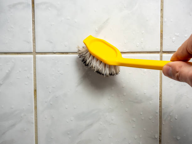 Best Black Mold Remediation in Hiawatha, KS