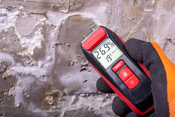 Best Localized Mold Remediation (e.g., coastal areas, humid climates) in Hiawatha, KS